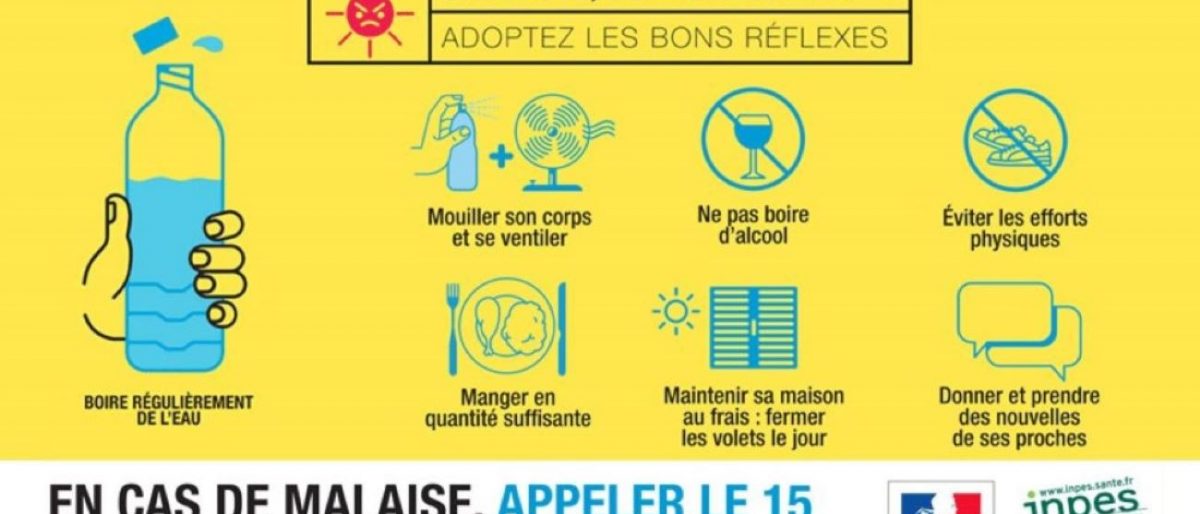 Permalien vers:Fortes chaleurs,
